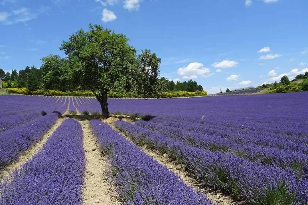 Gite Le Refuge Monieux 0*,